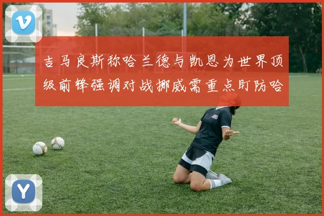 吉马良斯称哈兰德与凯恩为世界顶级前锋强调对战挪威需重点盯防哈兰德